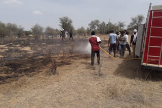 भोपालगढ़ की खबर, fire in fields