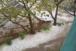 hailstorm in rampur