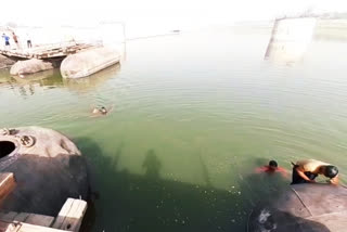 people crossing chambal river by swimming