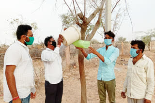 बालोतरा न्यूज़,  बाड़मेर न्यूज़,  राजस्थान न्यूज़ , पक्षियों के लिए पानी  , Balotra News,  Barmer News,  Rajasthan News,  Water for birds
