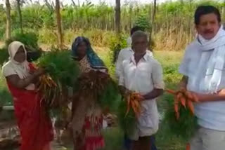 Former MLA Siraj Sheikh bought vegetables from farmers and donated to more than 5,000 poor