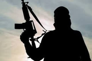 Two militants killed encounter with security forces in J-K's Shopian