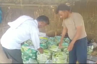 दौसा में लॉकडाउन, vegetables during lockdown