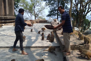 food-for-monkeys-at-kaliabor-durga-temple