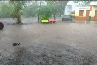 Premature rainfall in Belgaum district