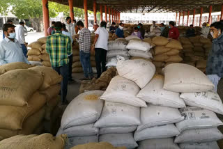 in junagadh  apmc start re-selling wheat durring lockdown