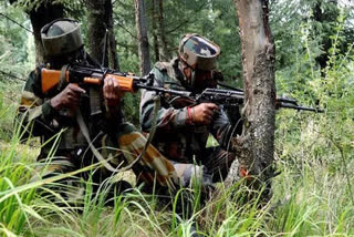 Jammu and Kashmir Gunfight Dachan Indian Army Militant Pakistan Gunfight in Kishtwar district Kistwar district gunfight between militants ജമ്മു കശ്മീർ കിഷ്ത്വാർ ജില്ല വെടിവയ്പ്പ് തീവ്രവാദി