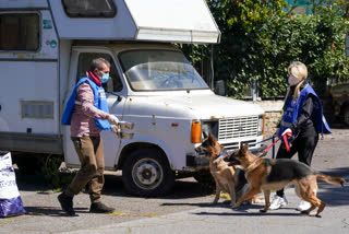 A group of animal rights activists from different organizations have come together to form a Task Force for Dogs and Cats during the coronavirus pandemic in Italy.