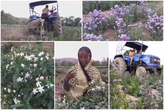 lockdown effect  flowers farm  लॉकडाऊन परिणाम  फुलशेती करणारे शेतकरी संकटात