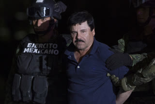 El Chapo's daughter hands out aid boxes