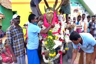 funeral for jallikkattu bull