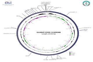 whole genome of the coronavirus