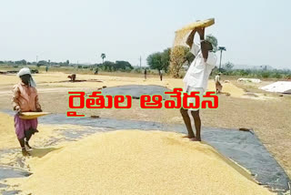 Farmers begging for little or no facilities at crop sale centres