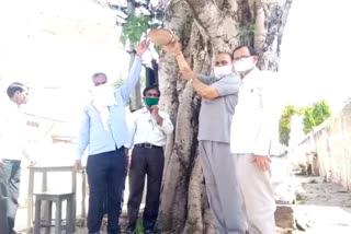 पक्षियों के लिए लगाए परिंडे, Water pot planted for birds