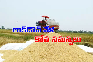 Rice crop cuts farmers are in trouble warangal rural areas
