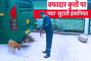 special story on street dog