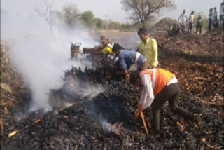 fire in field