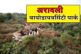 Aravali Biodiversity Park