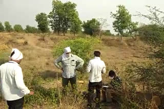 illegal tree cutting in jalgaon