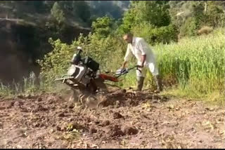 Lockdown 2.0: Agricultural activities continues in Himachal Pradesh and Punjab