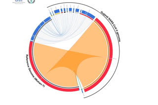 corona genome gujarat