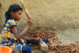 villagers-in-jamawada-village-of-jagdalpur-selling-tamarind