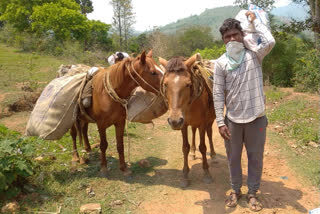 volunteer distribute ration with the help of horses at kinnerlova vizag agency