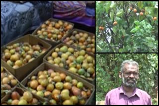 Passion fruit farmers in crisis  lockdown latest news  idukki farmers latest news  idukki latest news  ഇടുക്കി വാര്‍ത്തകള്‍  മൂന്നാര്‍ കര്‍ഷകര്‍  ലോക്ക് ഡൗണ്‍ വാര്‍ത്തകള്‍