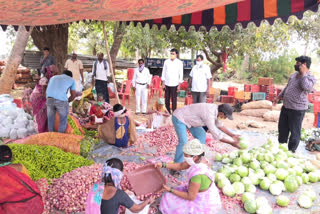 tdp distributed vegetables to 12 thousand families at kalyandurgam