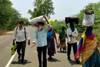 Lockdown Effect walk from the kalaburagi to Telangana