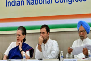 11 member congress panel