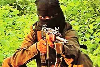 Naxalites identified in encounter