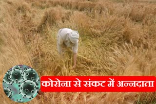 Farmers facing shortage of laborers, this time estimated to be 670 MT