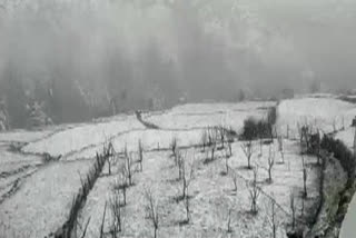 Himachal Pradesh receive snowfall