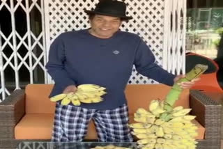 Dharmendra flaunts fruits grown by him during lockdown