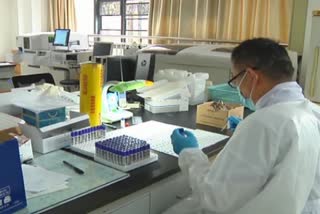 Wuhan virology lab chief denies COVID-19 originated from institute, says virus 'cannot be man made'