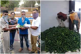 niphad cucumber news  निफाड काकडी न्युज  निफाड पोलिसांना काकडी वाटप  निफाड नाशिक न्युज  Niphad farmer give cucumber  niphad cucumber distribution to police