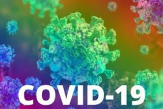 COVID-19 outbreak