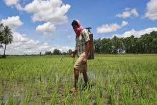 kharif preparation