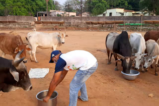 Bajrang's youth understand the hungry animals stomach