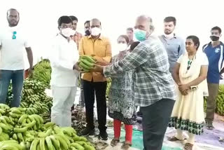 banana distribution in madanapalli