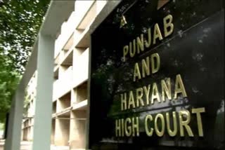 pregnant girl filed petition in punjab and haryana high court seeking protection in chandigarh