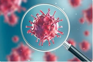 ووہان کی لیب سے نکلا ہے کورونا وائرس: فرانسیسی سائنسدان