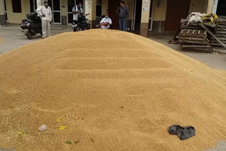 Wheat procurement not started in Kaithal