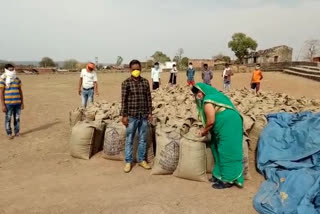 Women are entrusted with the responsibility of purchasing food grains in Damoh