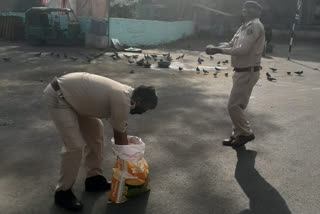 During the Corona virus and lockdown In Ahmedabad Police feed the birds
