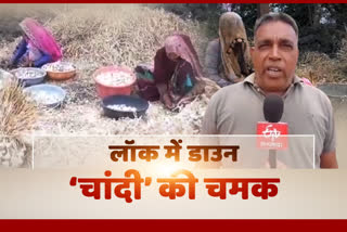 News of silver crop is coming dry from Malwa