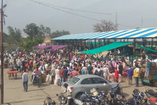 Thousands gathered in the wholesale market due to garlic and onion sale