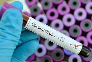 two more corona positive cases found in palwal