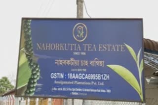 Naharkatia Tea garden's fake News